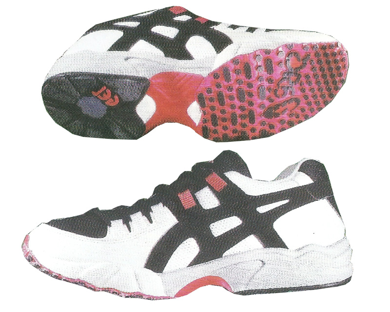 asics ds trainer marathon