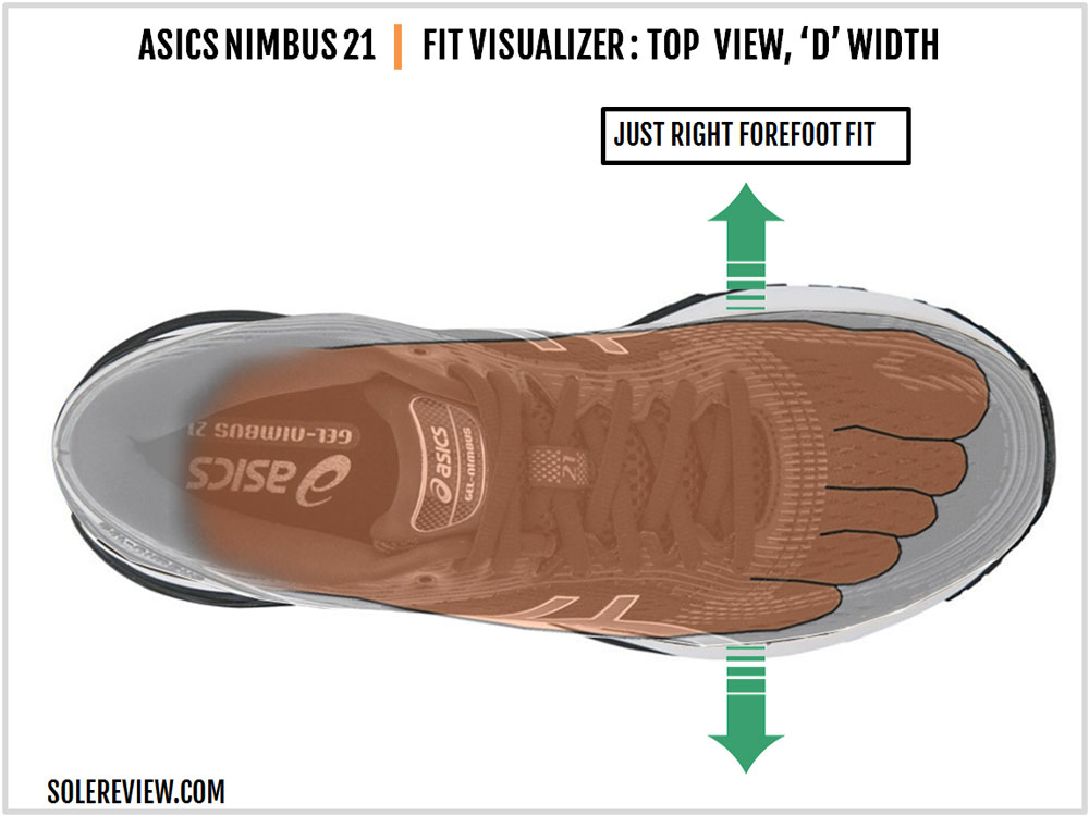 adidas ultra boost 19 vs asics nimbus 21