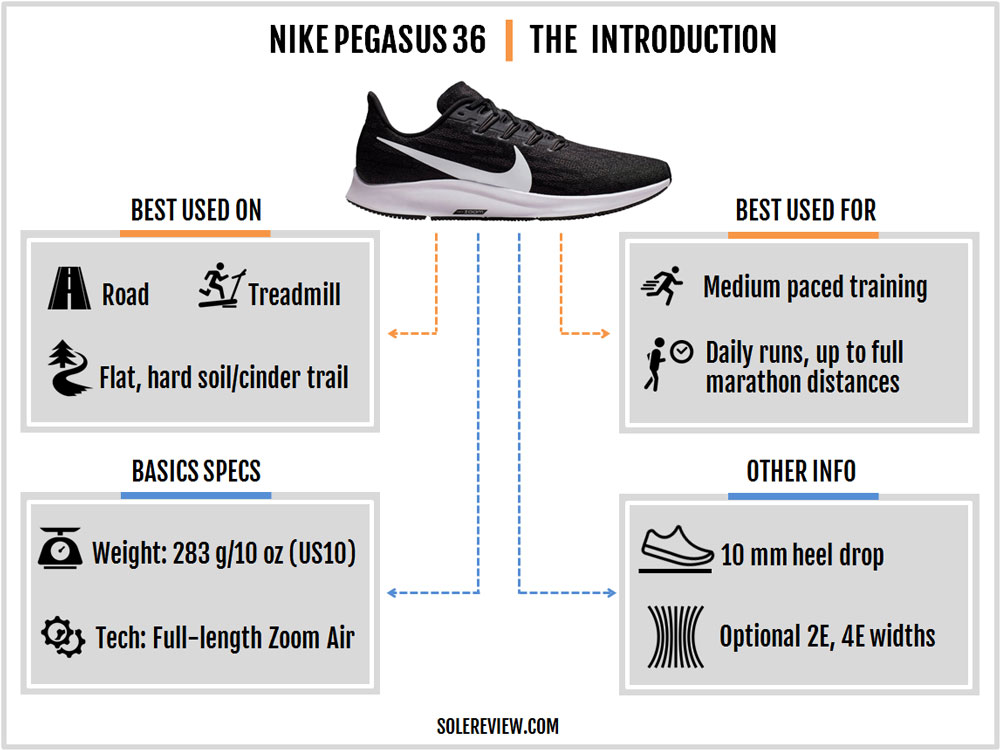 Nike_Pegasus_36_introduction
