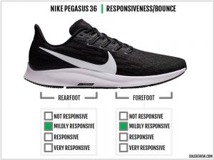 pegasus 37 size guide
