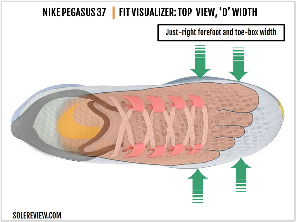 air zoom pegasus vs structure