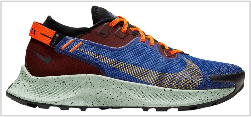 Nike_Pegasus_Trail_2_GoreTex