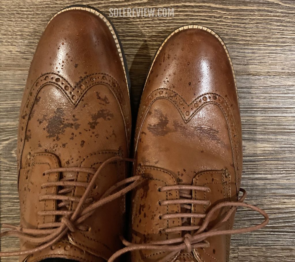 The Cole Haan Originalgrand Wingtip Oxford when wet.