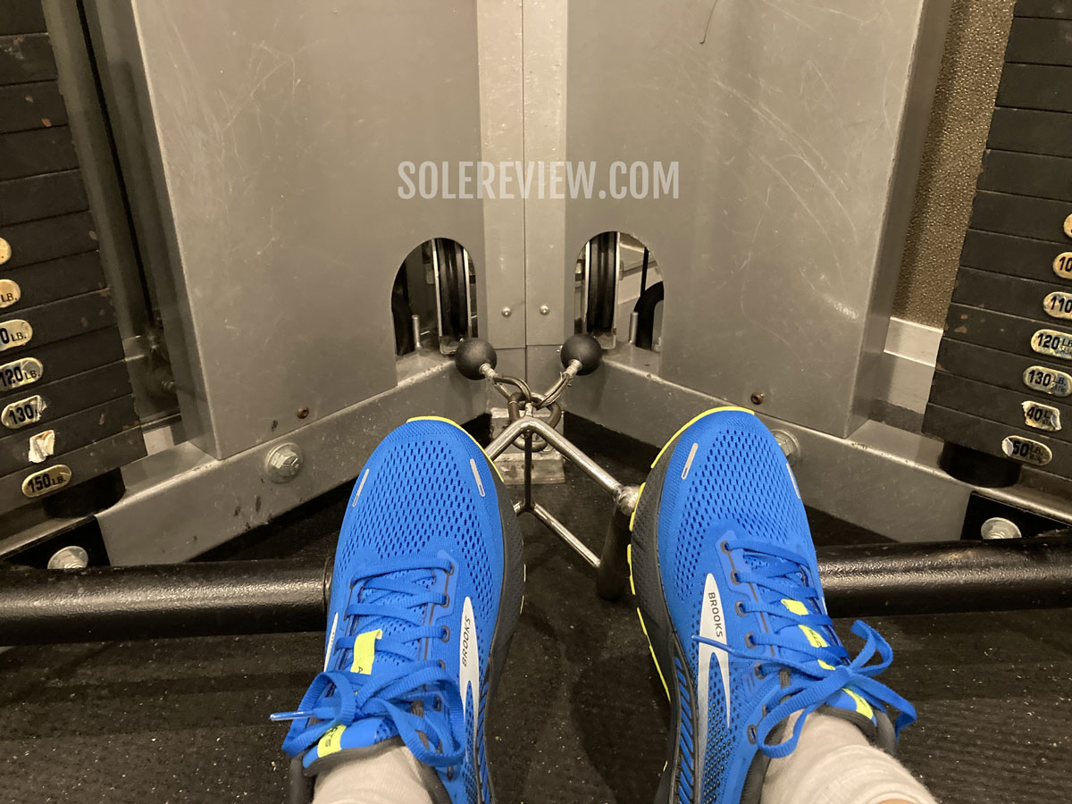 conspiracy Great Barrier Reef slack Best running shoes for gym and weight training | Solereview