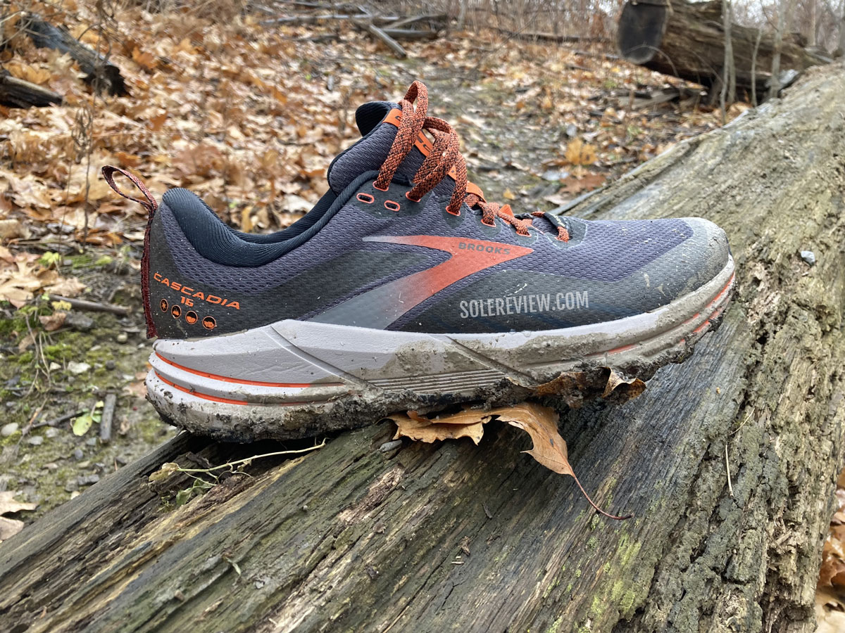 The Brooks Cascadia 16 Gore-Tex on a wooden log.