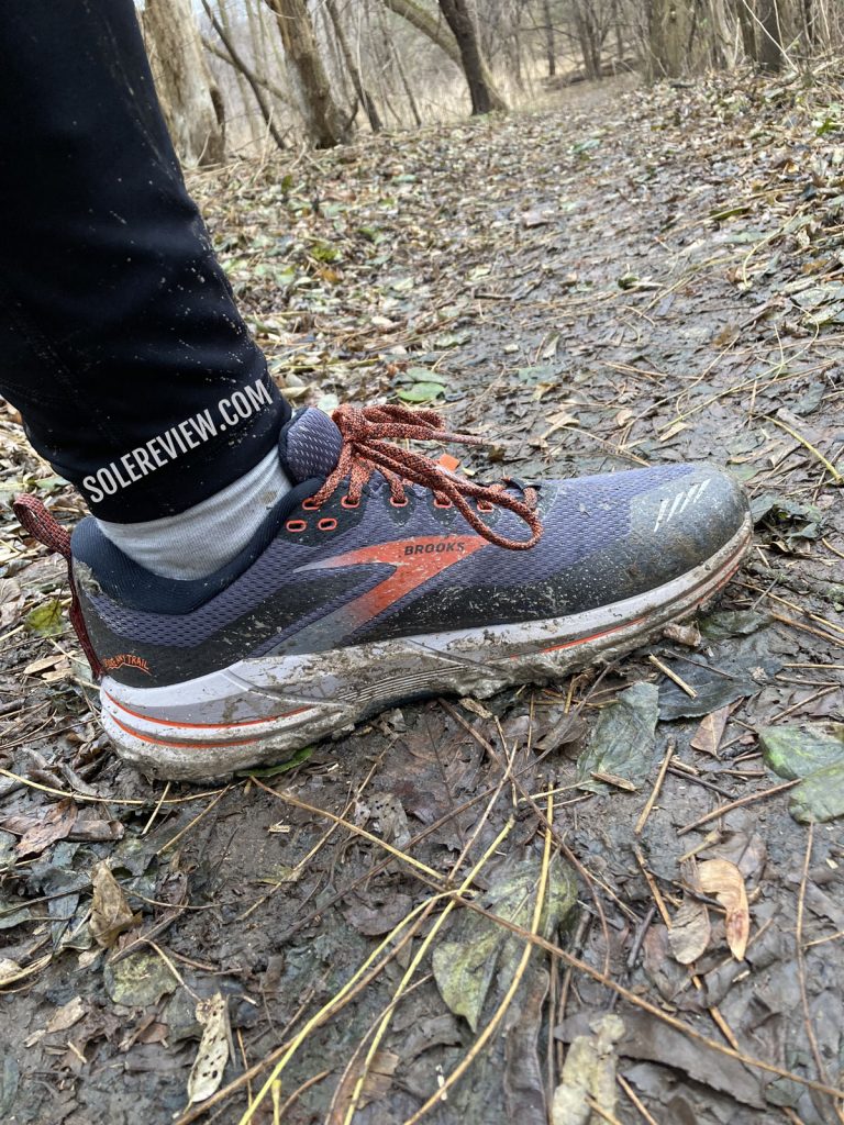 The Brooks Cascadia 16 Gore-Tex on leafy trail.