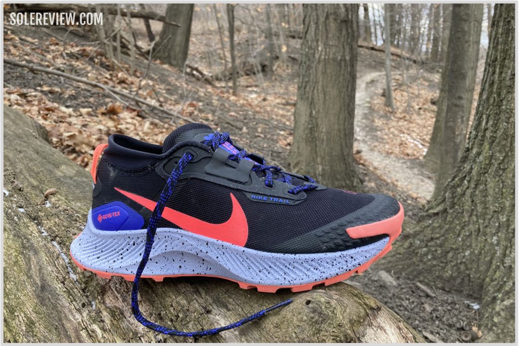 The Nike Pegasus Trail 3 in the outdoors.