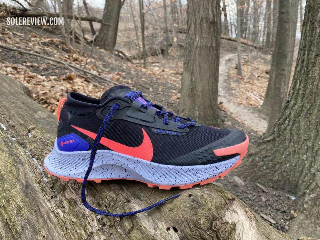 The Nike Pegasus Trail 3 on a wooden log.