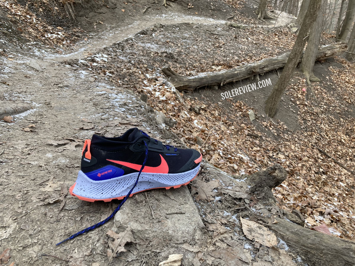 Ride gået i stykker Karriere Nike Pegasus Trail 3 Review