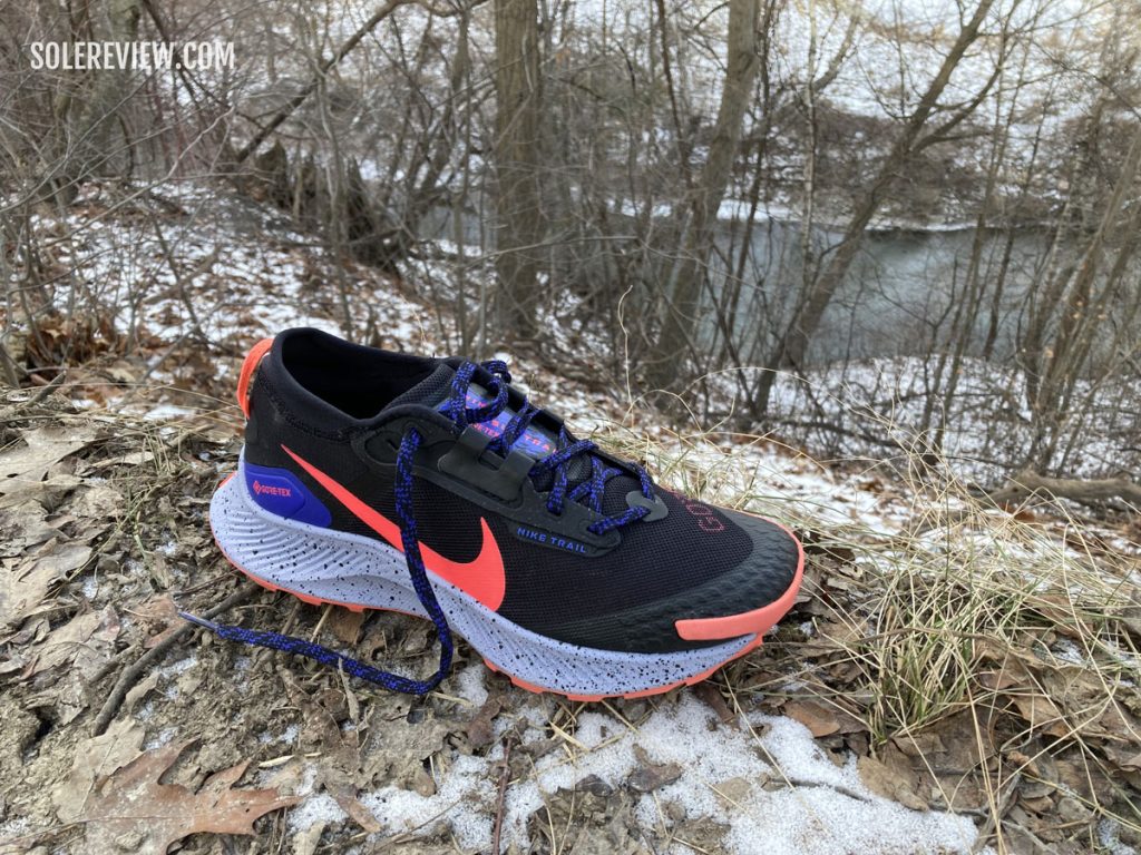 The Nike Pegasus Trail 3 on trails.