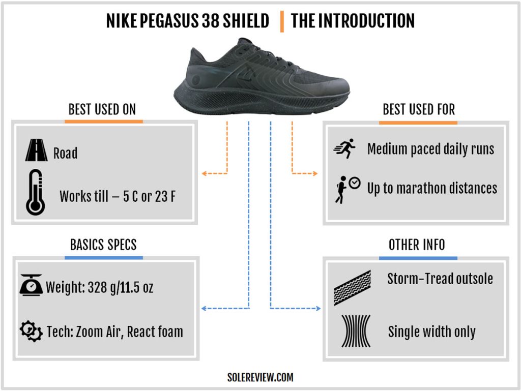 The overview of the Nike Pegasus 38 Shield.