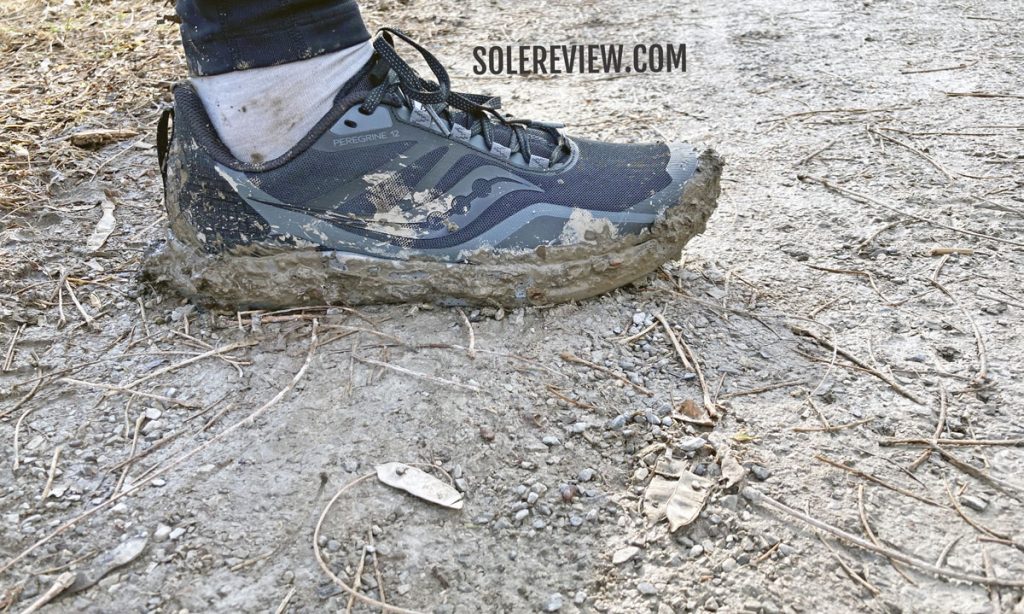 The Saucony Peregrine 12 on a flat trail.
