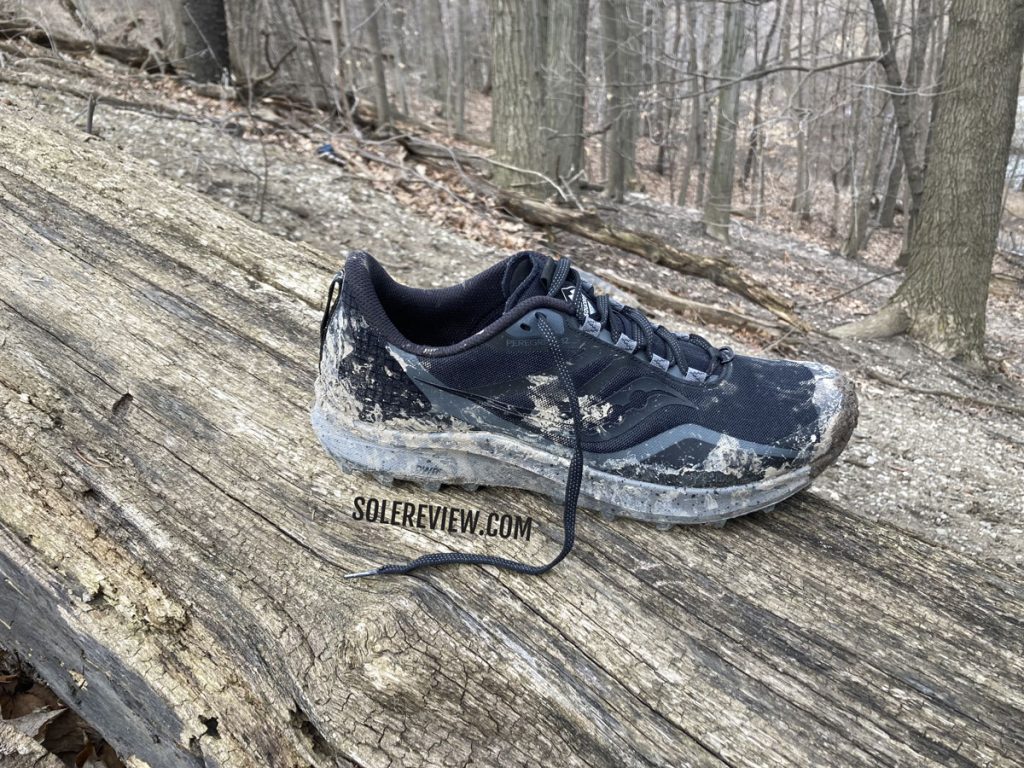 The Saucony Peregrine 12 on the trail.