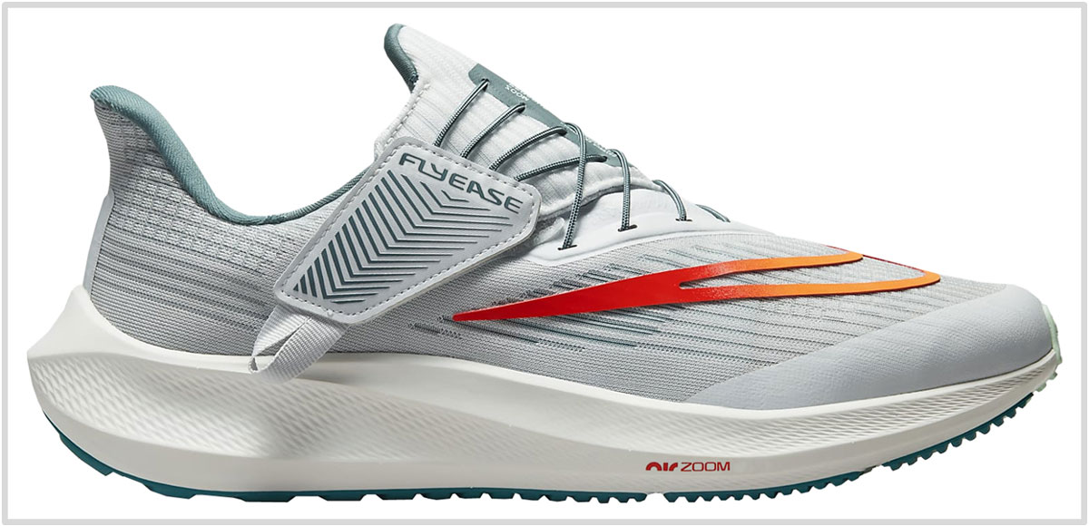 Nike Pegasus 39 Flyease