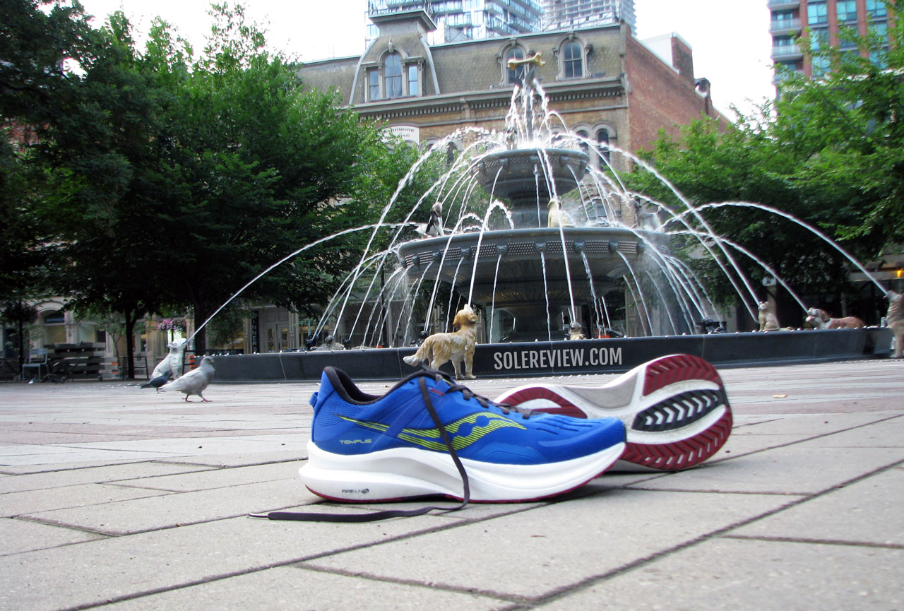 The Saucony Tempus in a park.