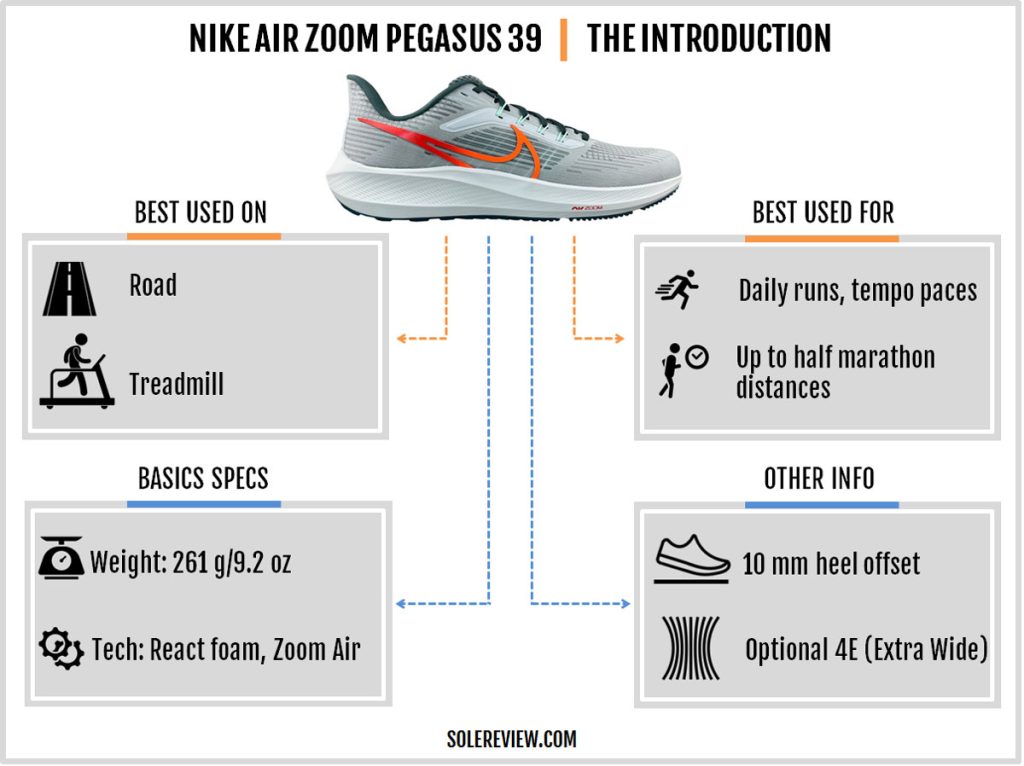 Air Zoom Pegasus 39 Review