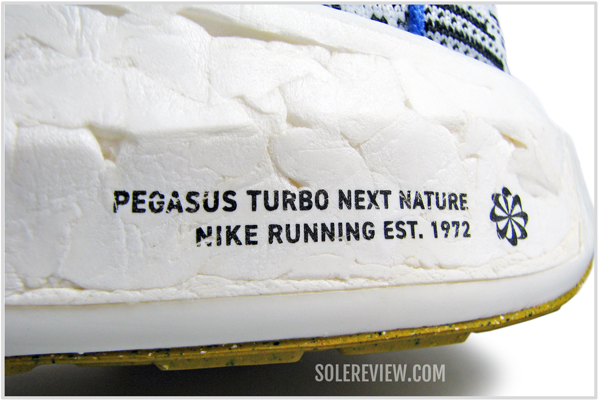 Nike Pegasus Nature Review