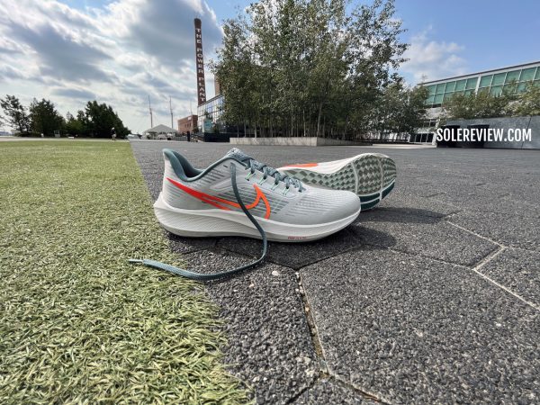 nike pegasus 35 oregon project