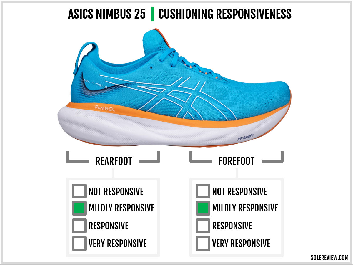 Asics Nimbus 25 Review