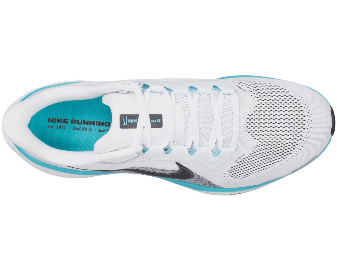 The top view of the Nike Pegasus 41.