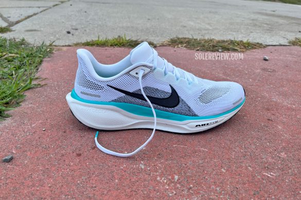 solereview pegasus 37