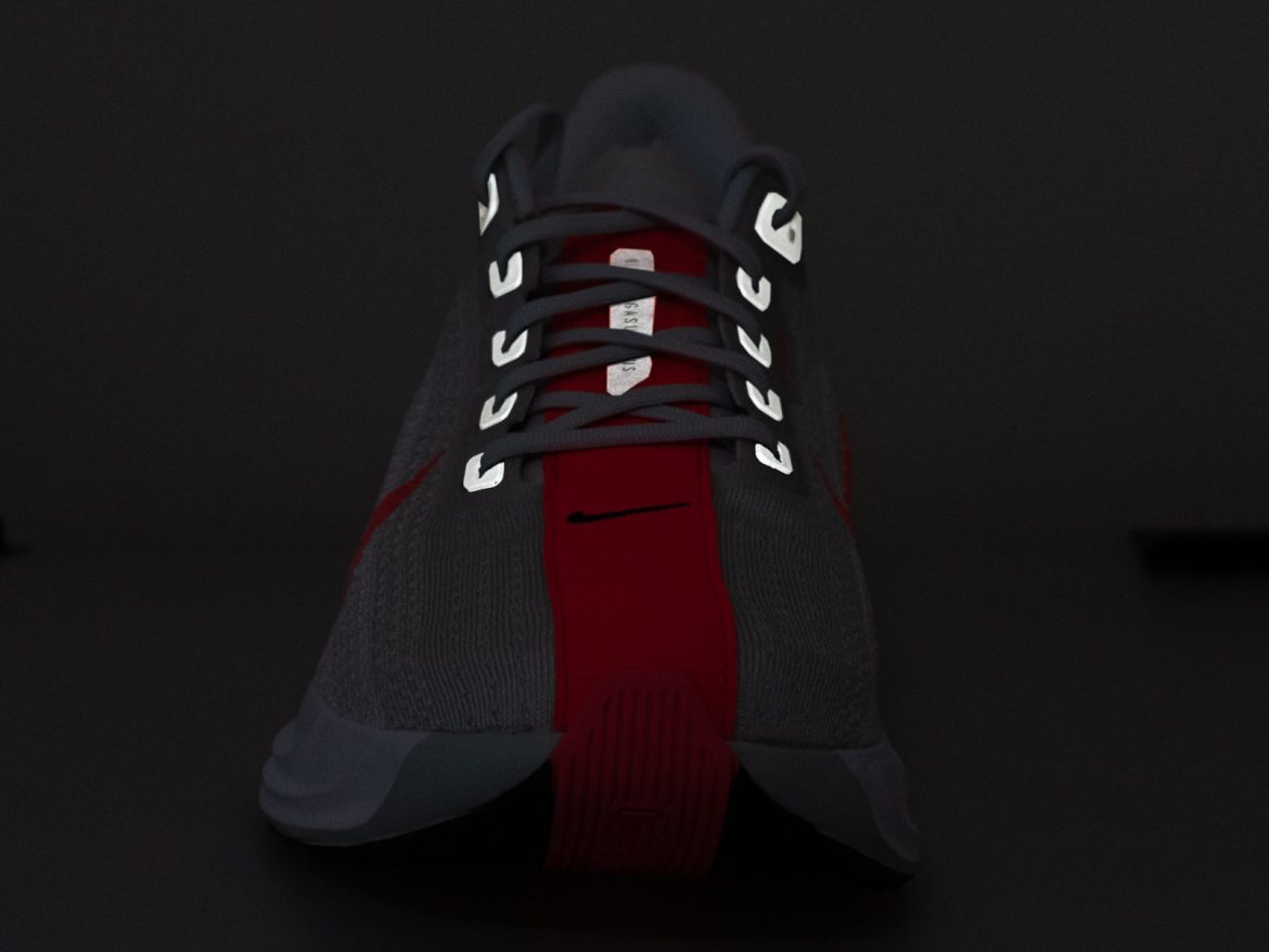 The reflective details on the Nike Pegasus Plus.