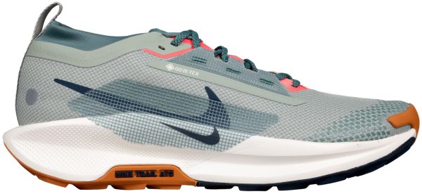 Nike Pegasus Trail 5 GTX product box.