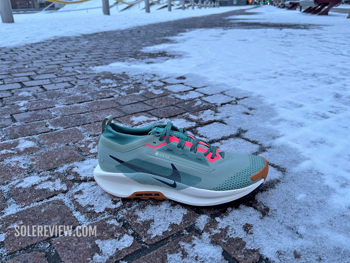 The Nike Pegasus Trail 5 during winters.