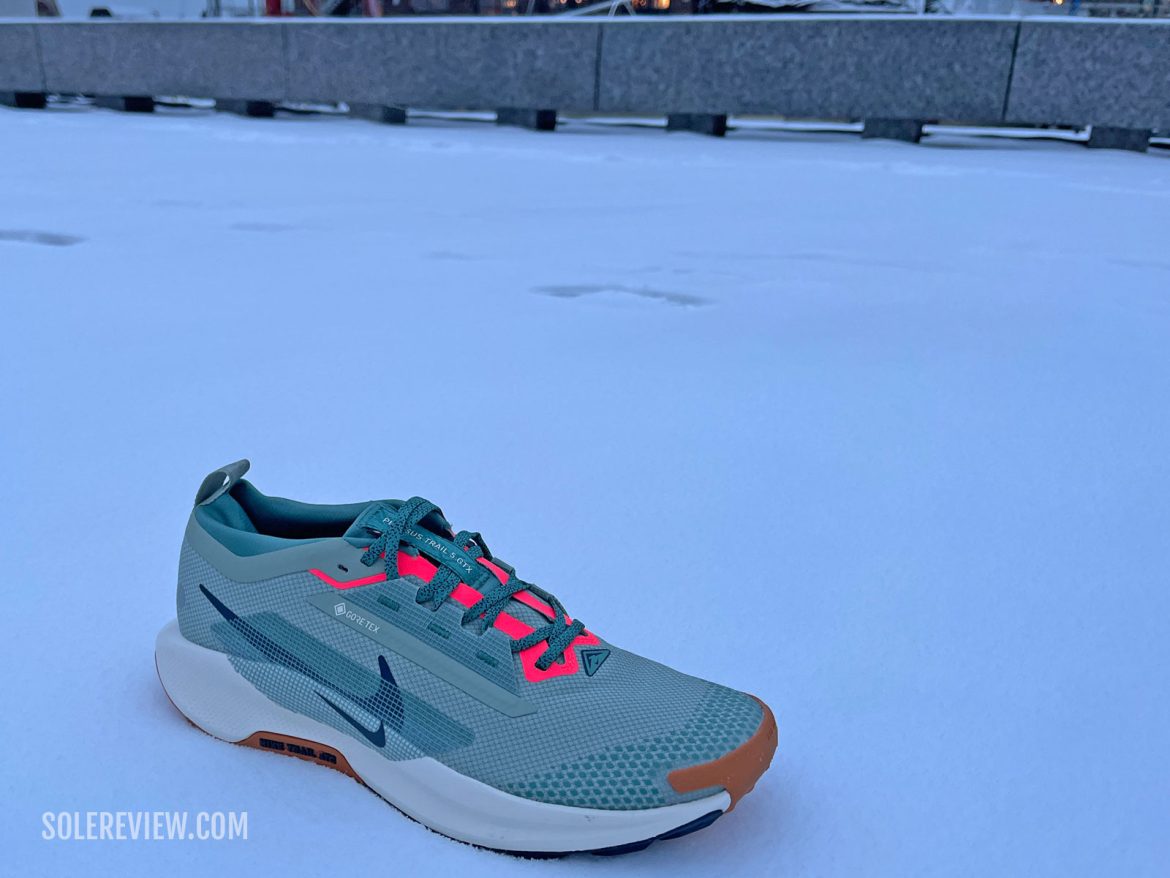 The Nike Pegasus Trail 5 in snow.