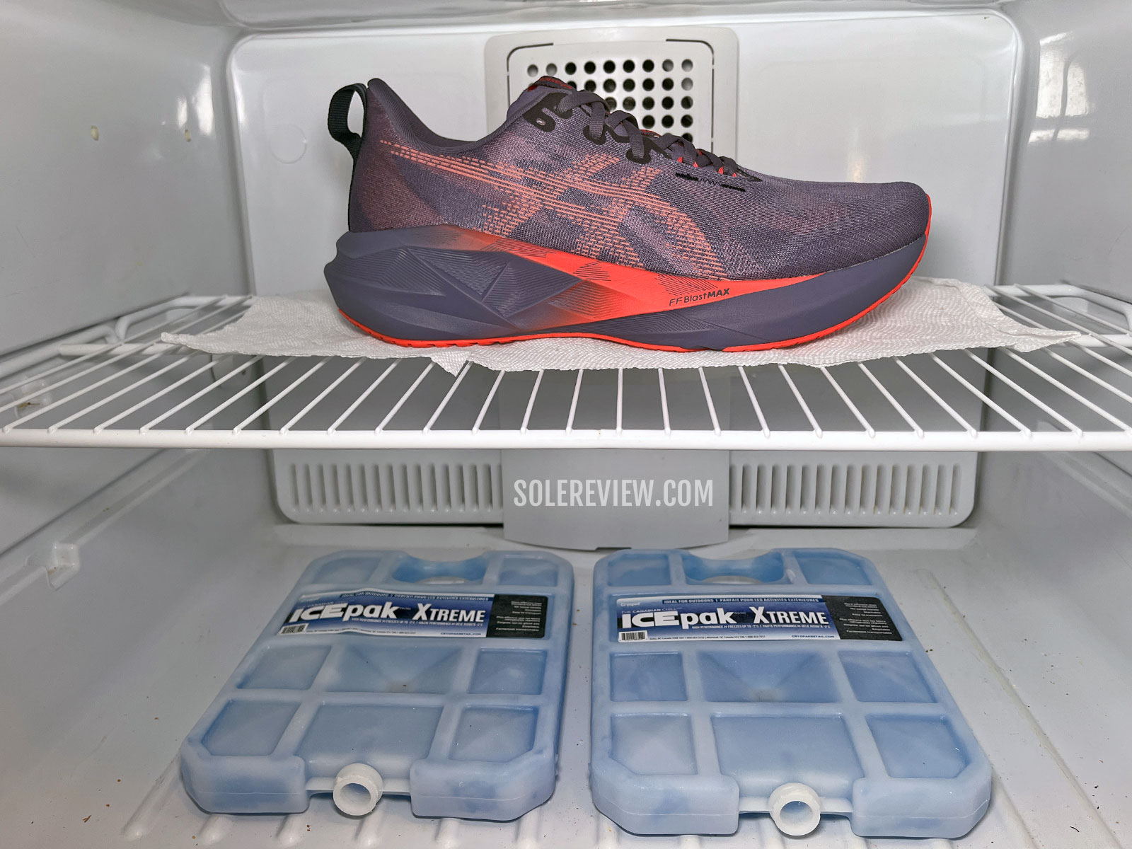 The Asics Novablast 5 in a freezer.