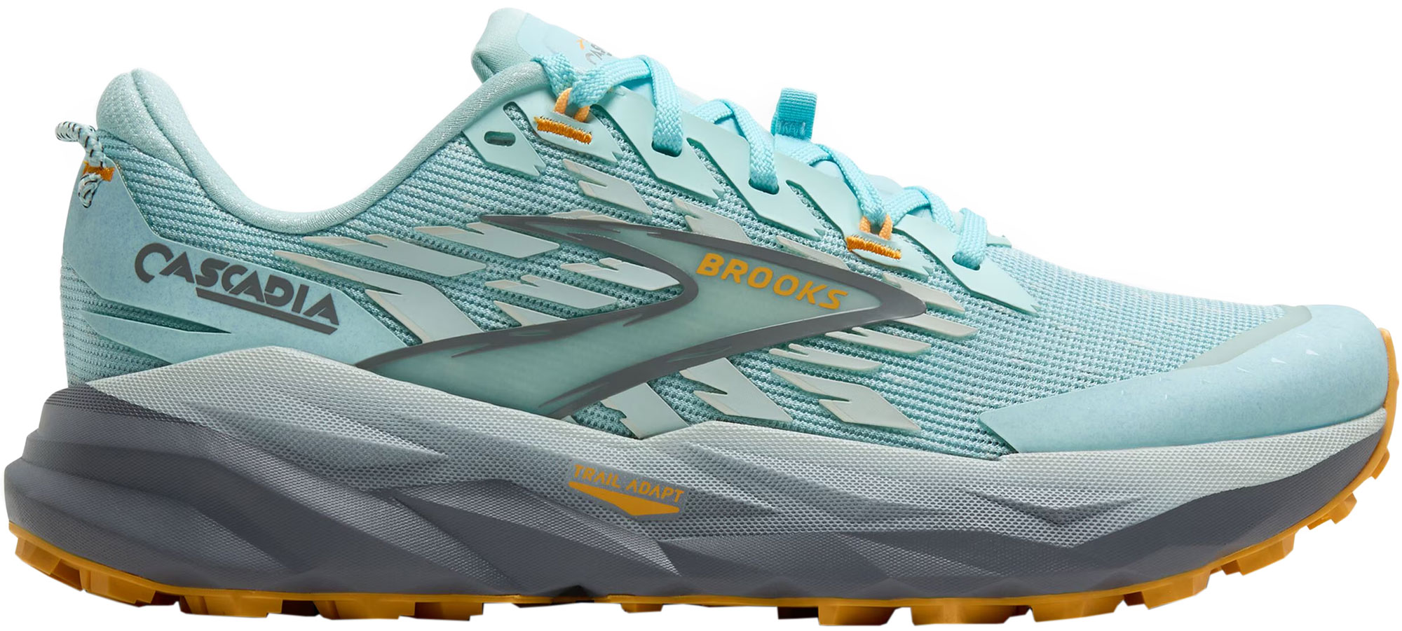 Brooks Cascadia 19 womens product box