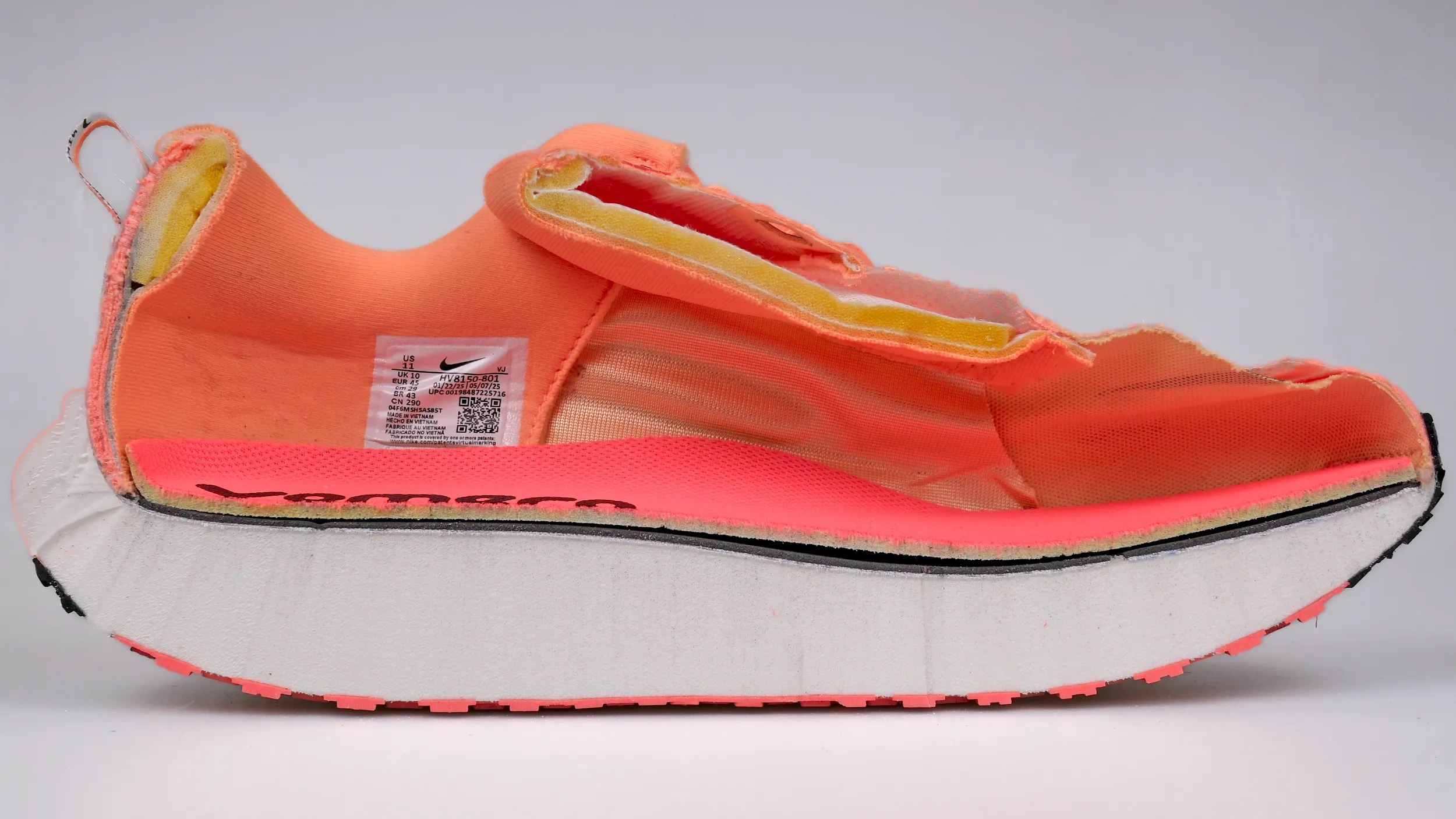 Cut-in-half shoe analysis